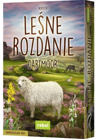 Leśne Rozdanie Dartmoor, zdjęcie 9