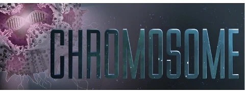 Chromosome, zdjęcie 2