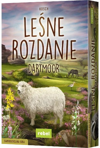 Leśne Rozdanie Dartmoor, zdjęcie 8