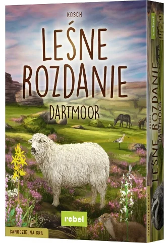 Leśne Rozdanie Dartmoor, zdjęcie 7