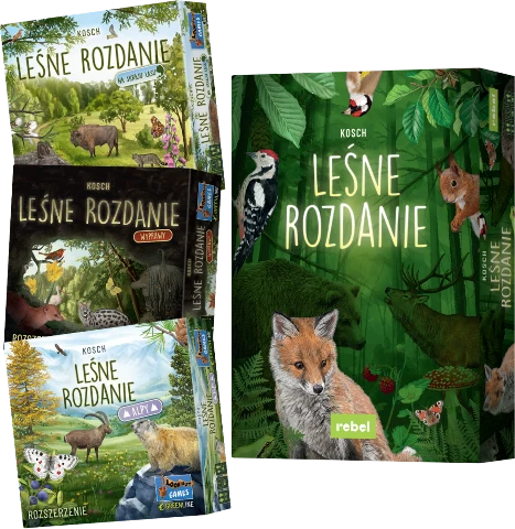 Leśne rozdanie Alpy Na skraju lasu Wyprawy