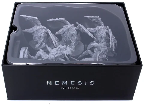 Nemesis Alien Kings, zdjęcie 3