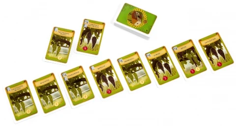 Viticulture Essential Edition, zdjęcie 9