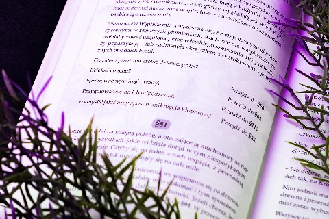 Koszmar Alicji w Krainie Czarów, zdjęcie 6