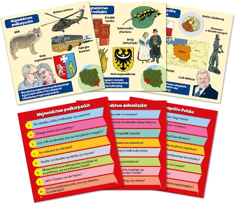 BrainBox Polska, zdjęcie 4