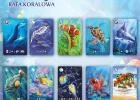Ekosystem 2 Rafa koralowa, zdjęcie 5
