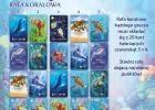 Ekosystem 2 Rafa koralowa, zdjęcie 6