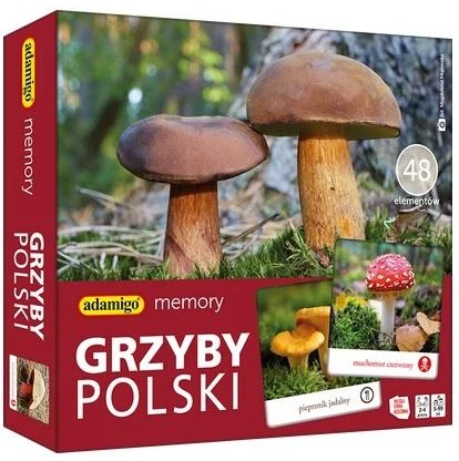 Memory Grzyby Polski, zdjęcie 2