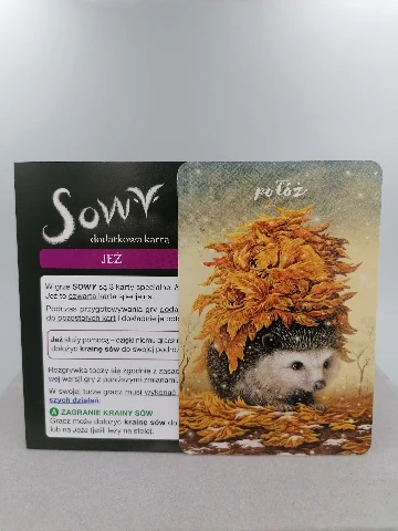 Sowy, zdjęcie 9
