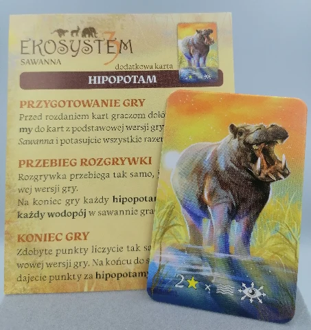 Ekosystem 3 Sawanna, zdjęcie 3