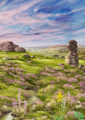 Leśne Rozdanie Dartmoor, zdjęcie 4