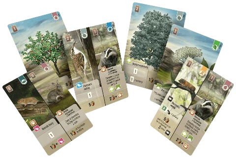 Leśne Rozdanie Dartmoor, zdjęcie 5
