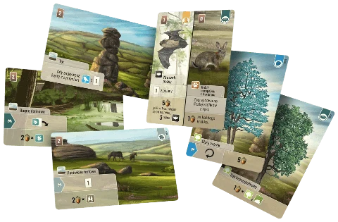 Leśne Rozdanie Dartmoor, zdjęcie 6