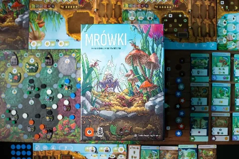 Mrówki, zdjęcie 5
