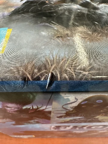 Frosthaven, zdjęcie 4