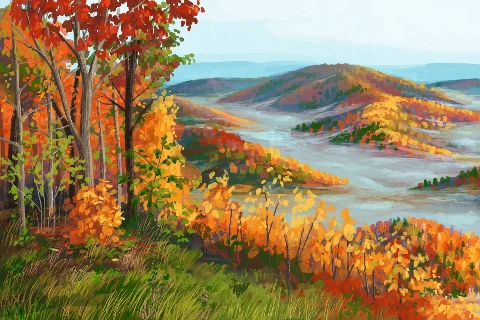 Leśne rozdanie Smoky Mountains, zdjęcie 5