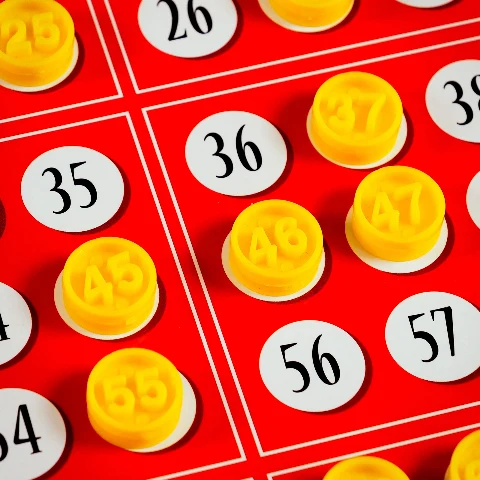 Ludoteca Bingo, zdjęcie 4