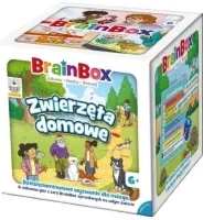 BrainBox Zwierzęta domowe