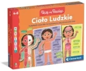 Ciało ludzkie mini